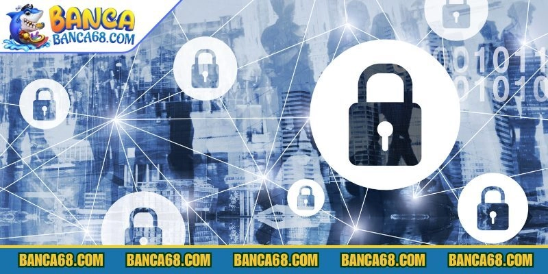 Áp dụng toàn diện trên mọi nền tảng hệ thống